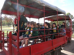 Calmsley Hill Kindy Excursion 002