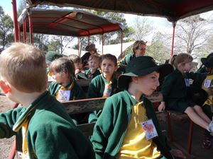 Calmsley Hill Kindy Excursion 004