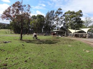 Calmsley Hill Kindy Excursion 005