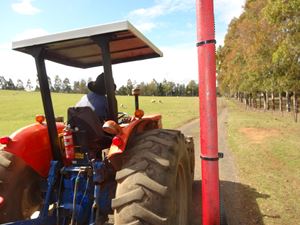 Calmsley Hill Kindy Excursion 009