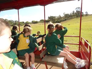 Calmsley Hill Kindy Excursion 010