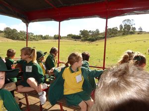 Calmsley Hill Kindy Excursion 011