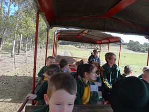 Calmsley Hill Kindy Excursion 012