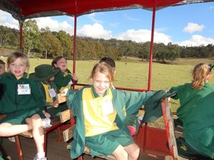 Calmsley Hill Kindy Excursion 014