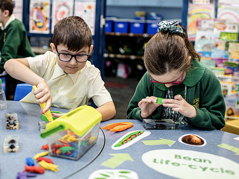 St Mary MacKillop Curriculum