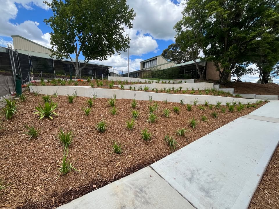 980116777452655_1490849403046054-1