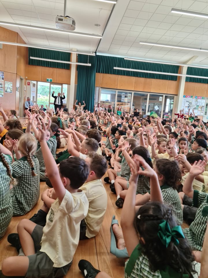 980116777452655_1505300054934322-1