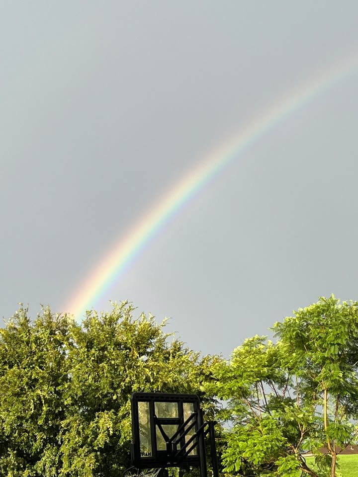 980116777452655_1506145998183061-1