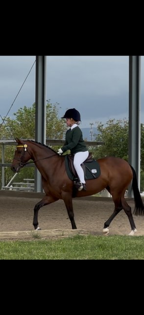 980116777452655_1509357591195235-1