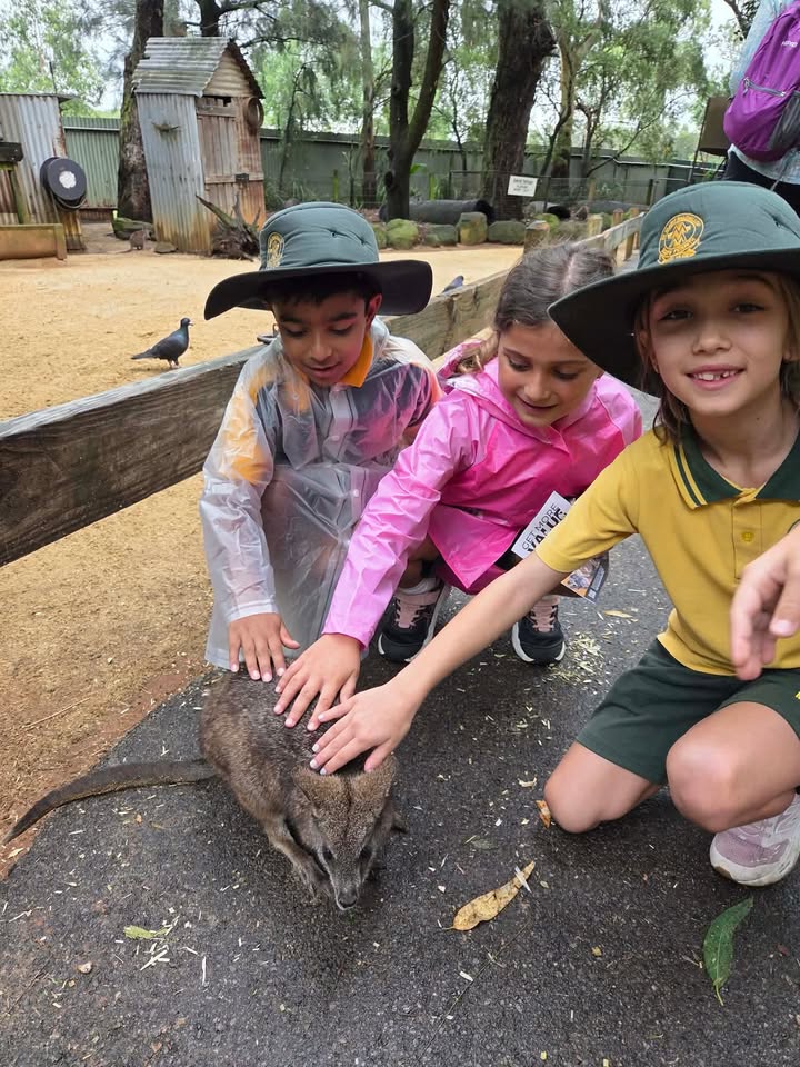 980116777452655_1517192193745108-1