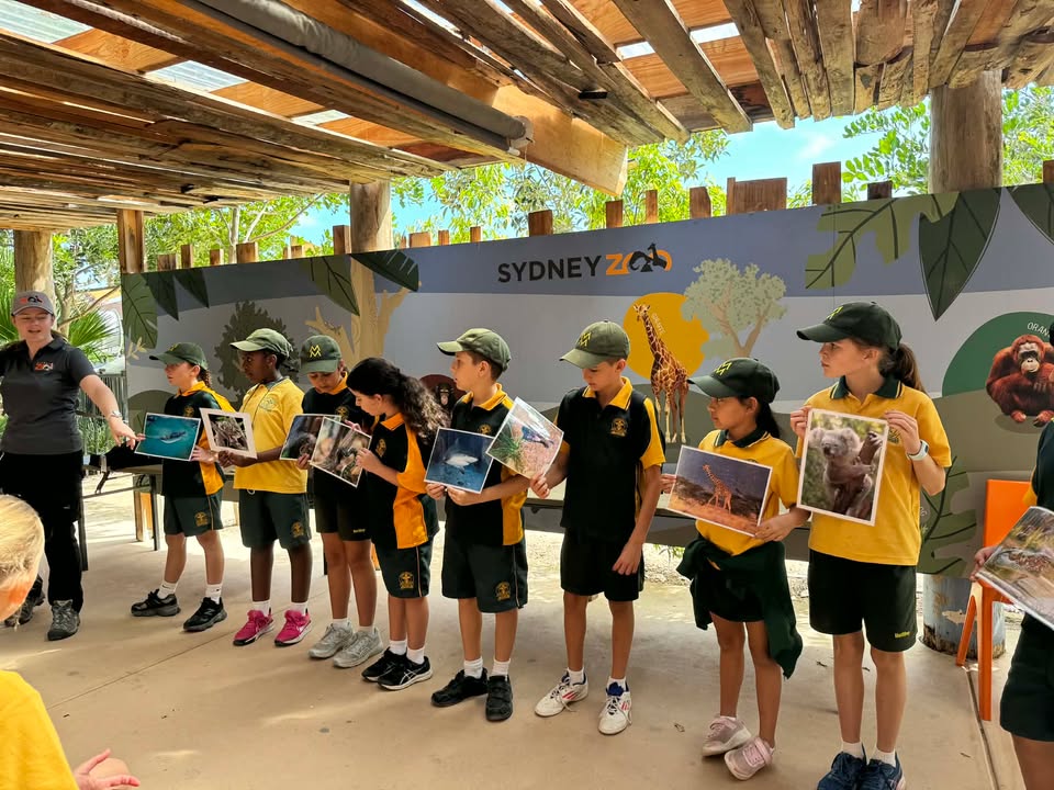 980116777452655_1529108739220120-1