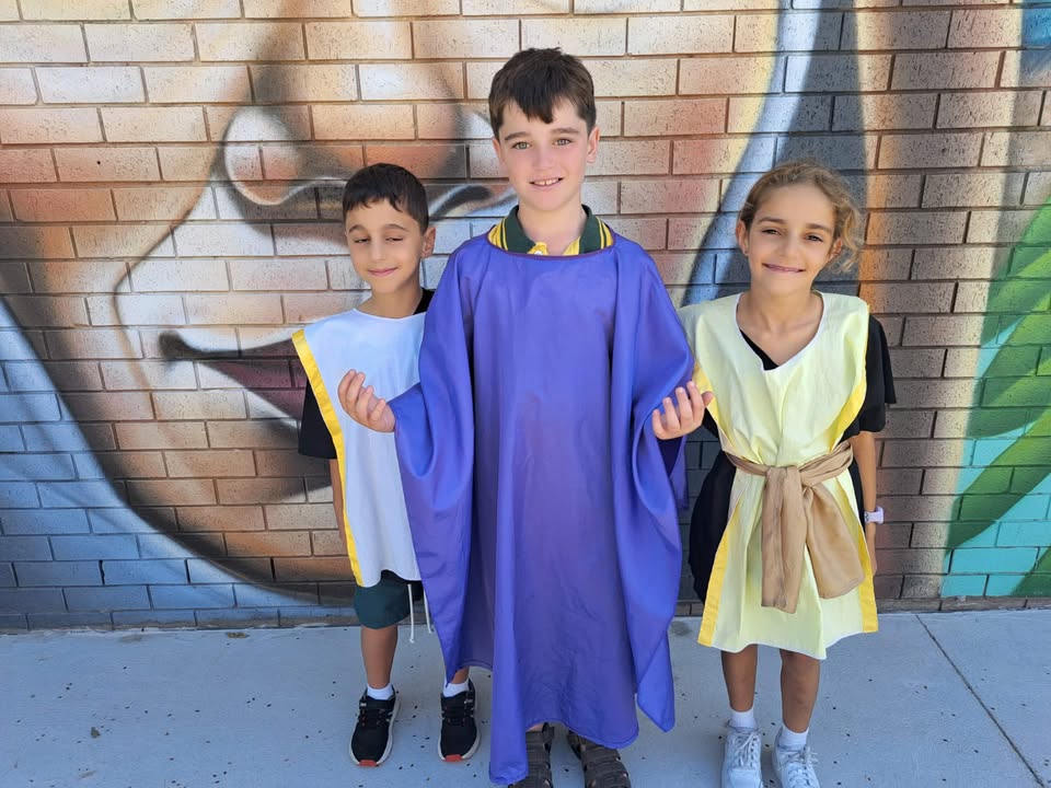 980116777452655_1531026782361649-1